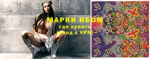 бошки Елабуга