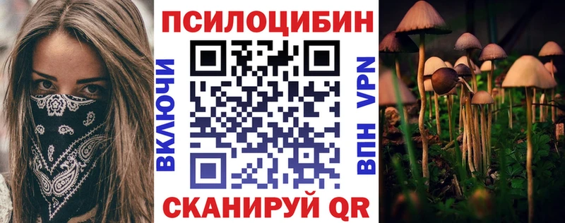 как найти закладки  блэк спрут онион  Псилоцибиновые грибы Psilocybe  Назрань 